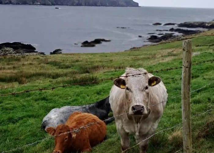 Atlantic Coast Dom wakacyjny *